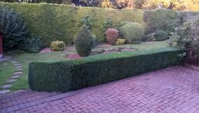 landscaped garden